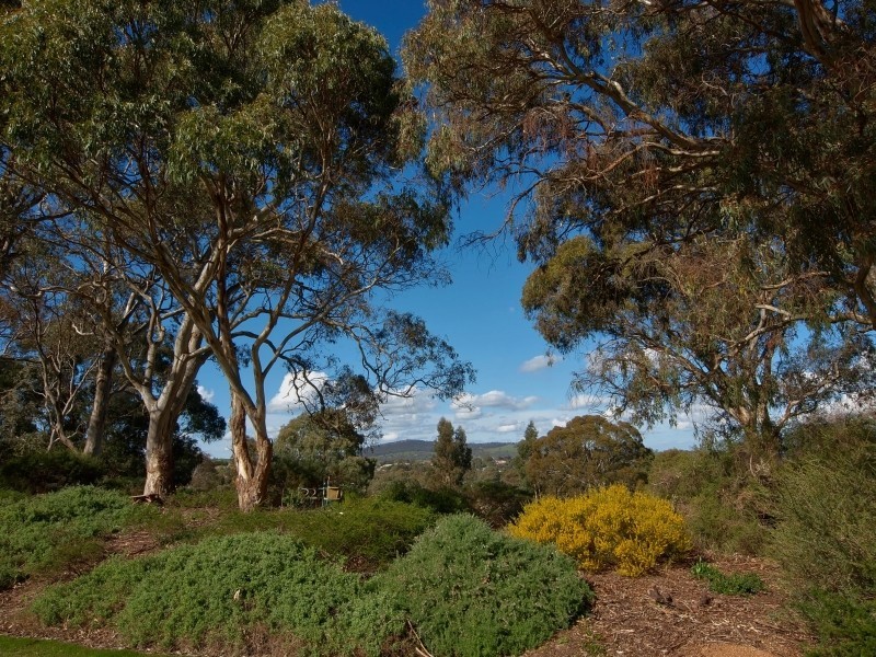 30 Karkoo Court, Mount Barker SA 5251