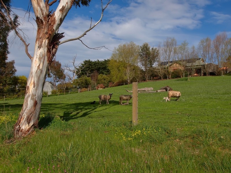 180 Mount Torrens Road, Lobethal SA 5241