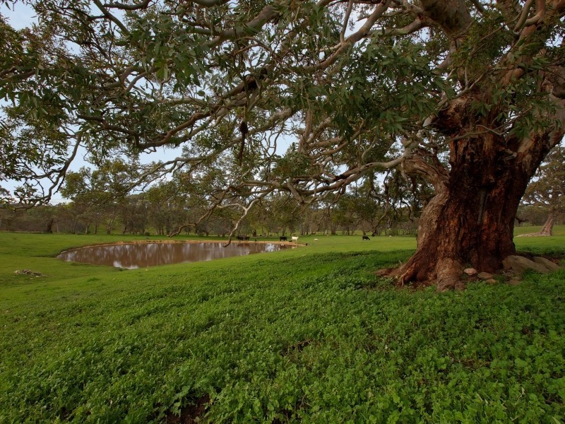 Lot 26 Gladigau Road, Harrogate SA 5244