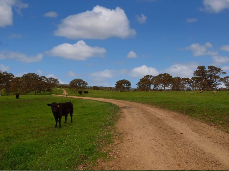 Lot 26 Gladigau Road, Harrogate SA 5244