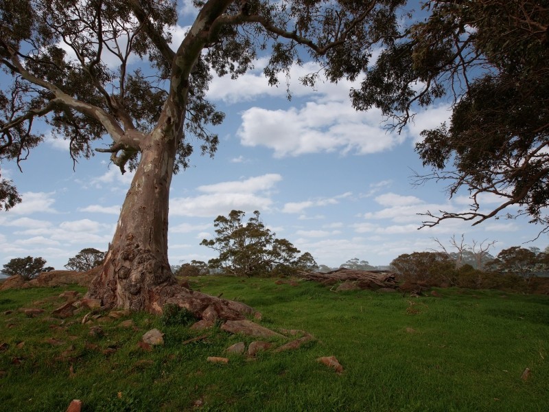 Lot 26 Gladigau Road, Harrogate SA 5244