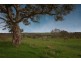 Lot 26 Gladigau Road, Harrogate SA 5244