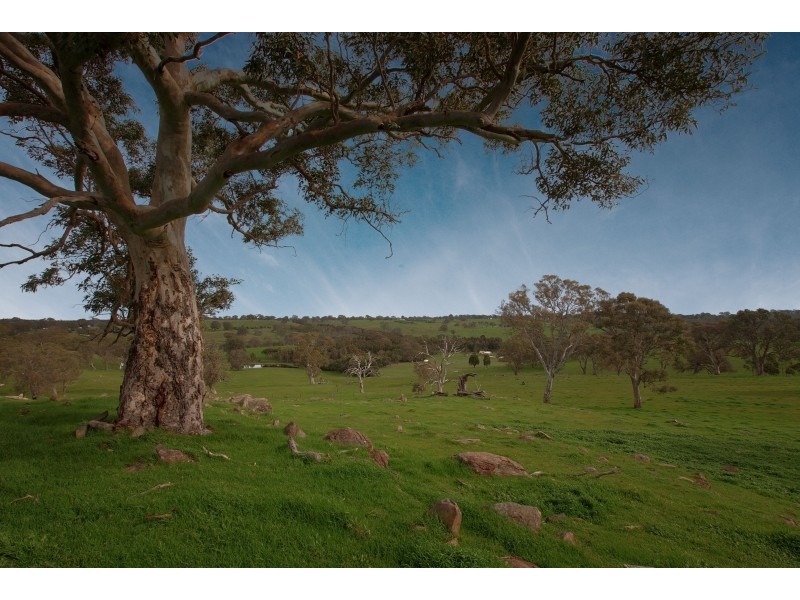 Lot 26 Gladigau Road, Harrogate SA 5244