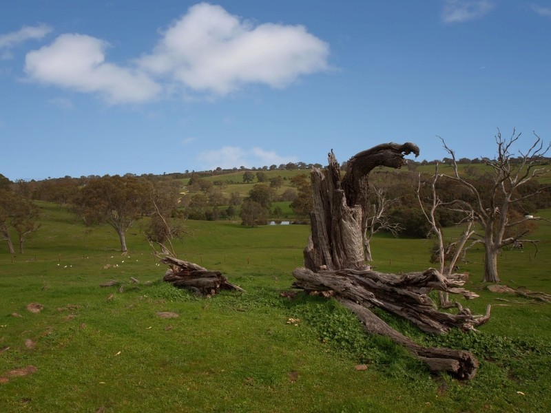 Lot 26 Gladigau Road, Harrogate SA 5244