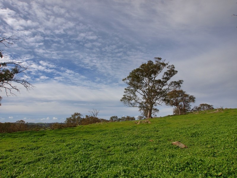 Lot 26 Gladigau Road, Harrogate SA 5244