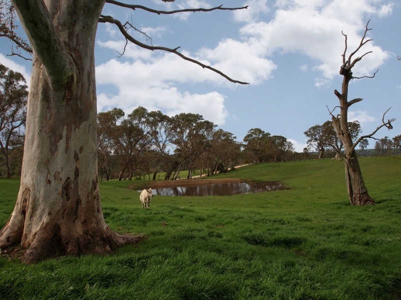 Lot 26 Gladigau Road, Harrogate SA 5244