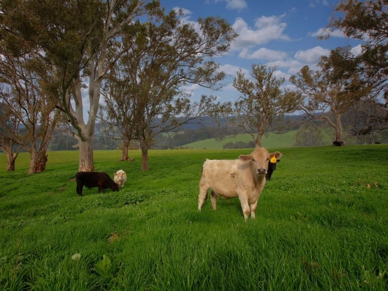 Lot 26 Gladigau Road, Harrogate SA 5244