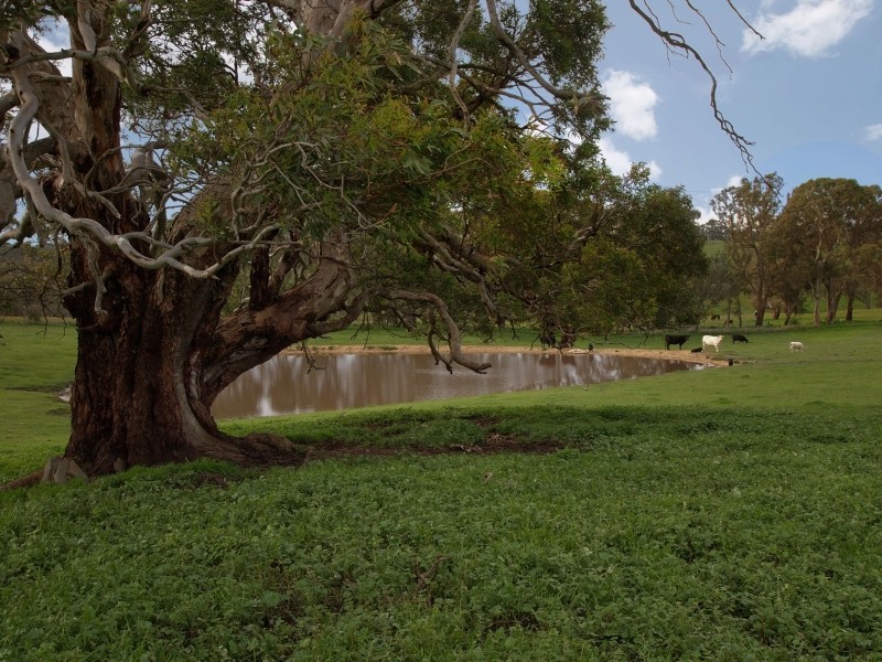 Lot 26 Gladigau Road, Harrogate SA 5244