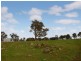 Lot 26 Gladigau Road, Harrogate SA 5244