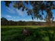 Lot 36 Karkoo Court, Mount Barker SA 5251