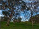 Lot 36 Karkoo Court, Mount Barker SA 5251