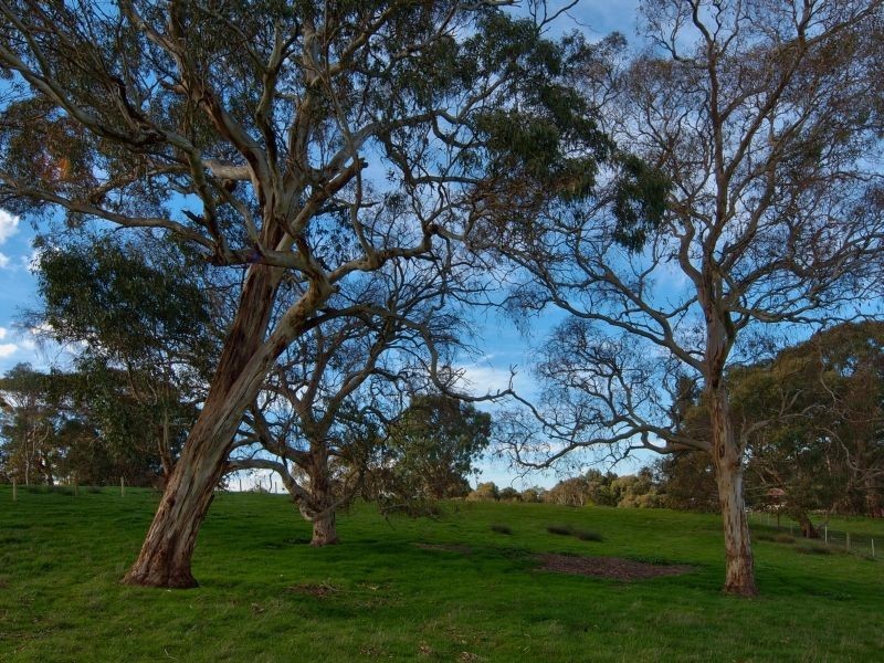 Lot 36 Karkoo Court, Mount Barker SA 5251