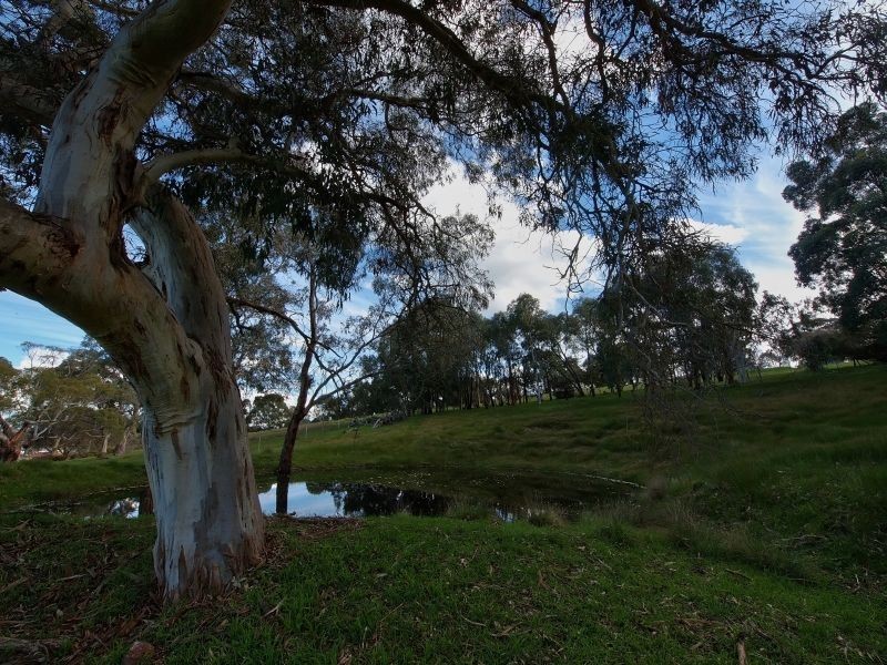 Lot 36 Karkoo Court, Mount Barker SA 5251