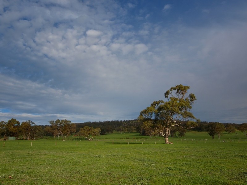 12 Onkaparinga Valley Road, Charleston SA 5244