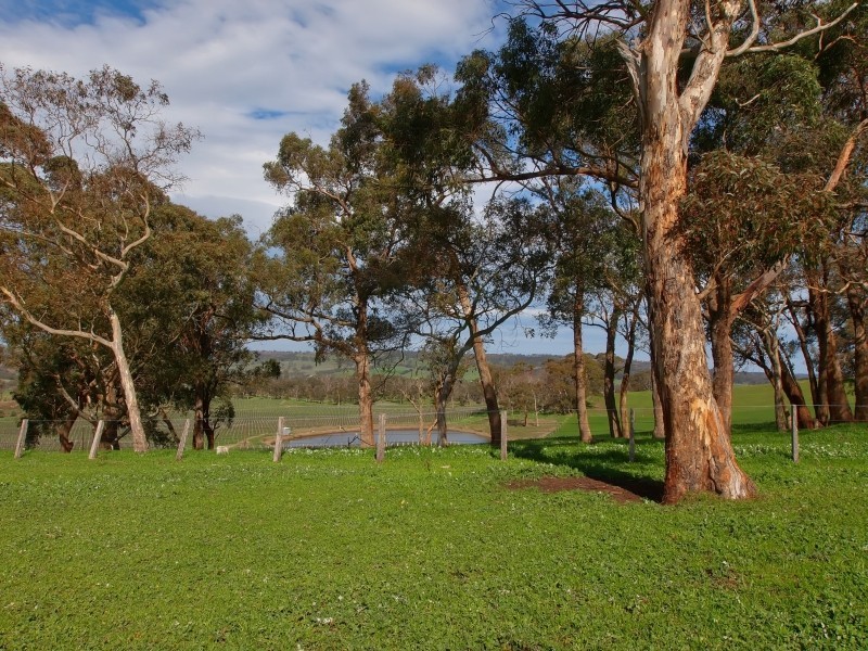 180 Mount Torrens Road, Lobethal SA 5241