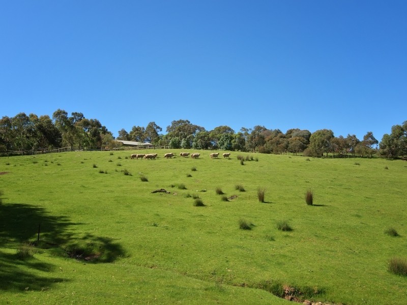 58 Gosse Road, Clarendon SA 5157