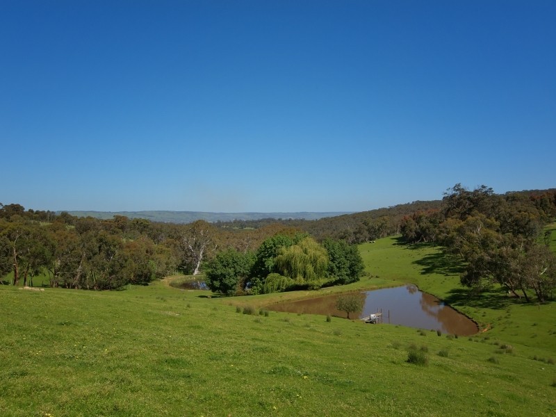 58 Gosse Road, Clarendon SA 5157