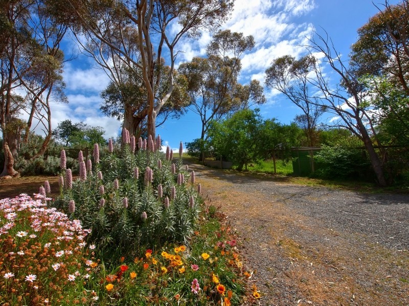 19 Memorial Drive, Tungkillo SA 5236