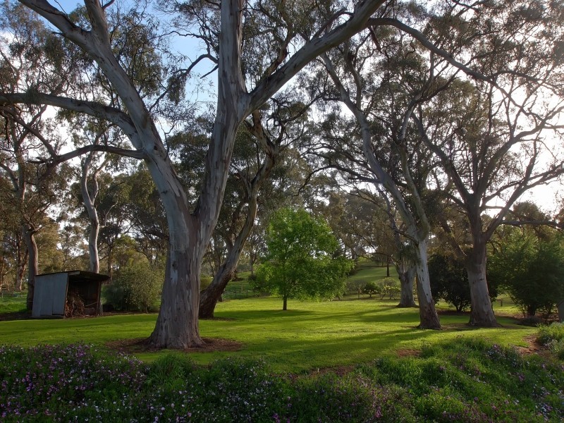 64 Bald Hills Road, Blakiston SA 5250