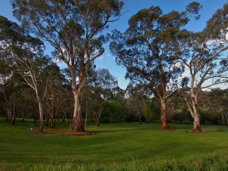 64 Bald Hills Road, Blakiston SA 5250