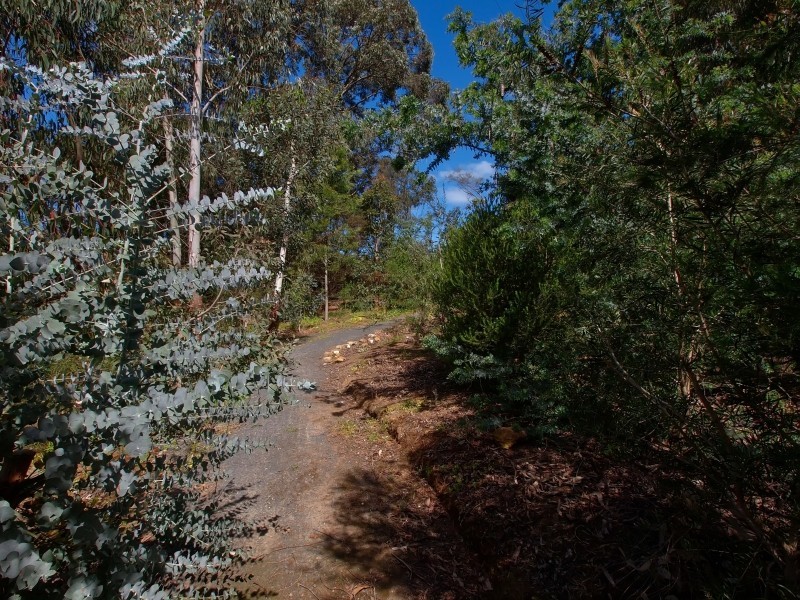 99 Leslie Road, Lenswood SA 5240