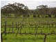 268 Pottery Road, The Range SA 5172