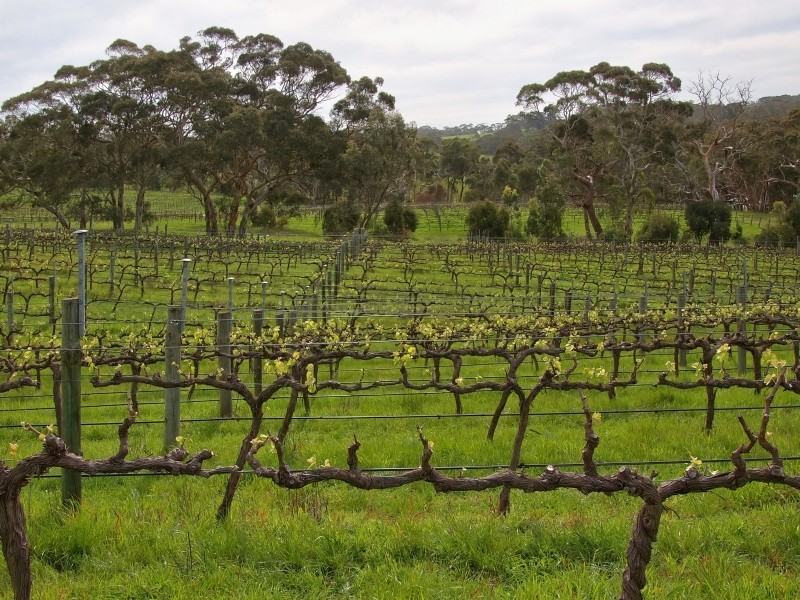 268 Pottery Road, The Range SA 5172