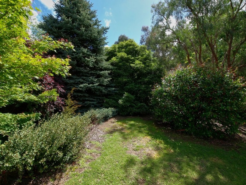 159 Collins Hill Road, Lenswood SA 5240