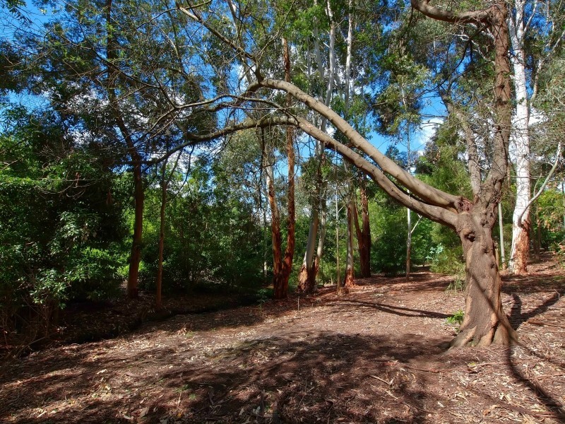 159 Collins Hill Road, Lenswood SA 5240