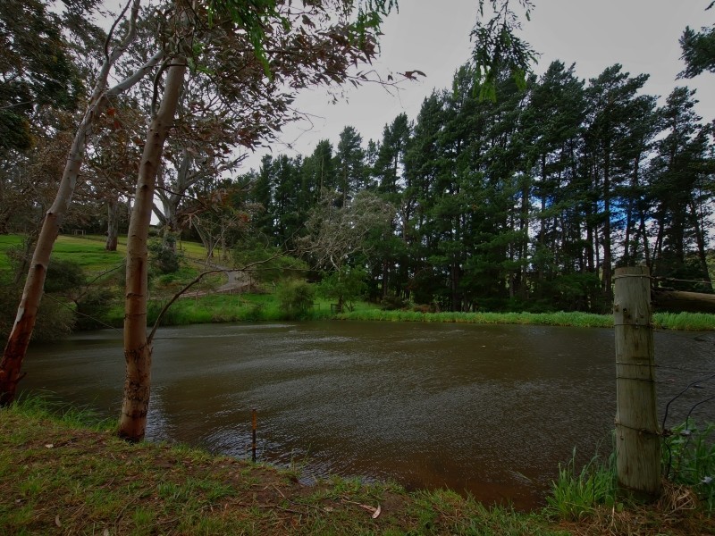 97 Alexander Forrest Road, Forreston SA 5233