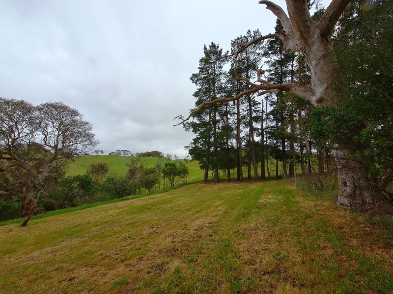 97 Alexander Forrest Road, Forreston SA 5233