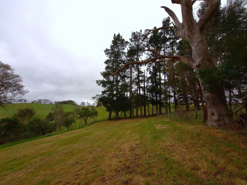 97 Alexander Forrest Road, Forreston SA 5233