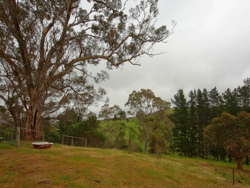 97 Alexander Forrest Road, Forreston SA 5233