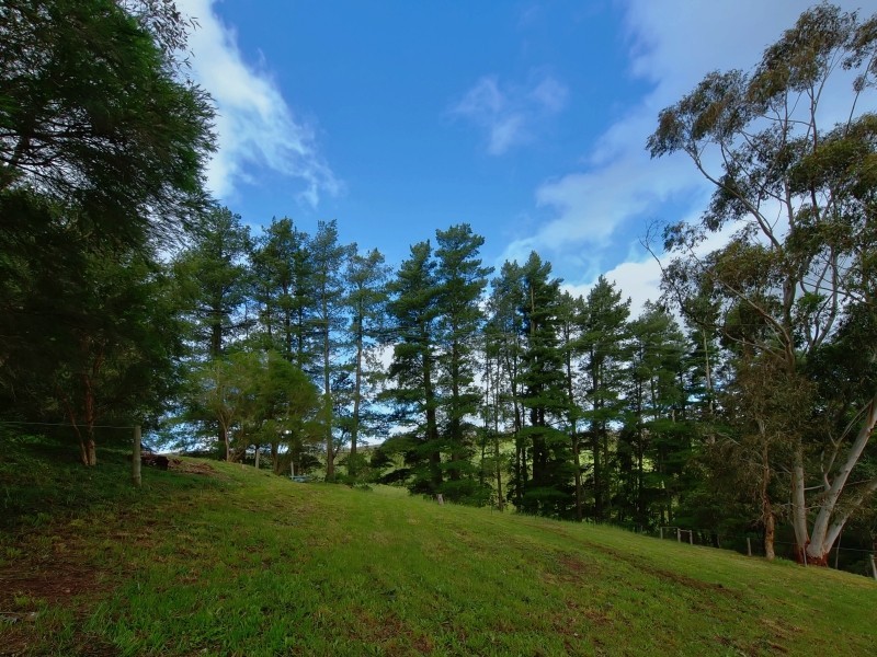 97 Alexander Forrest Road, Forreston SA 5233