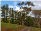97 Alexander Forrest Road, Forreston SA 5233