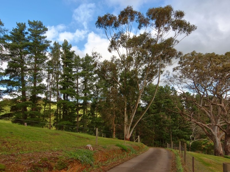 97 Alexander Forrest Road, Forreston SA 5233