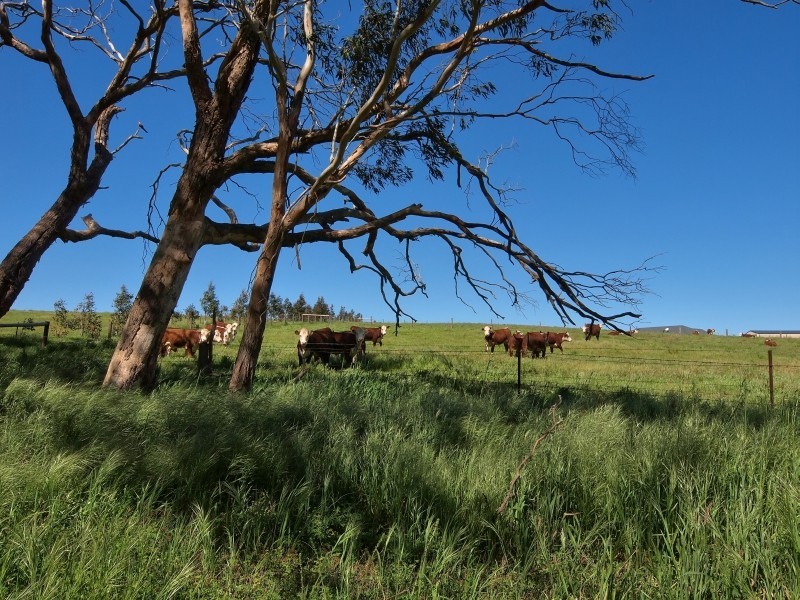 221 Gladigau Road, Mount Torrens SA 5244