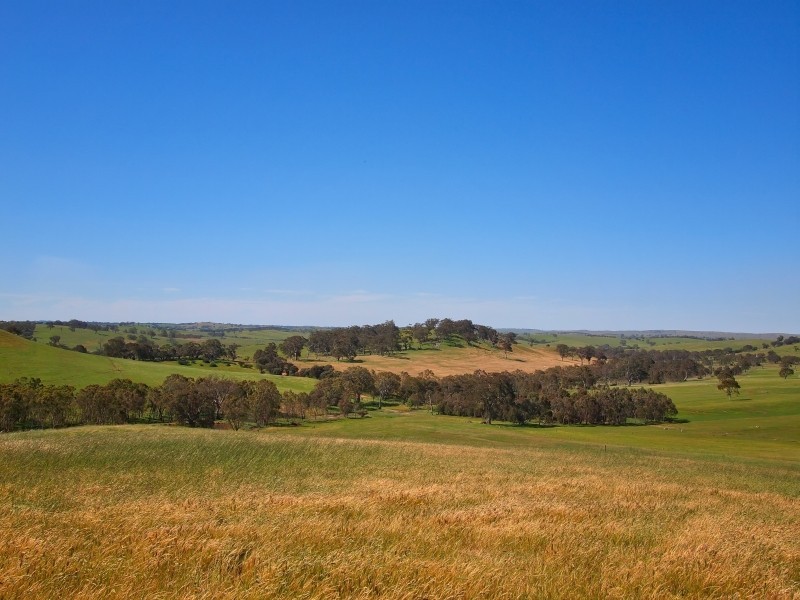 221 Gladigau Road, Mount Torrens SA 5244