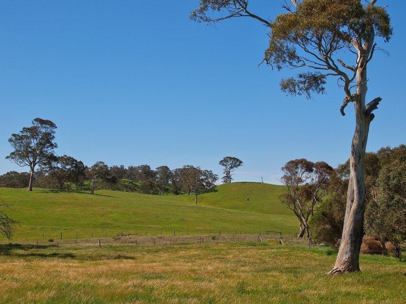 221 Gladigau Road, Mount Torrens SA 5244