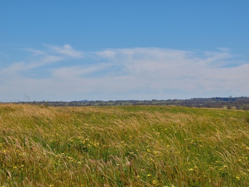 221 Gladigau Road, Mount Torrens SA 5244