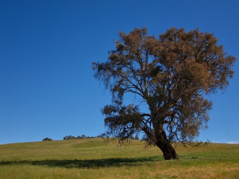 221 Gladigau Road, Mount Torrens SA 5244