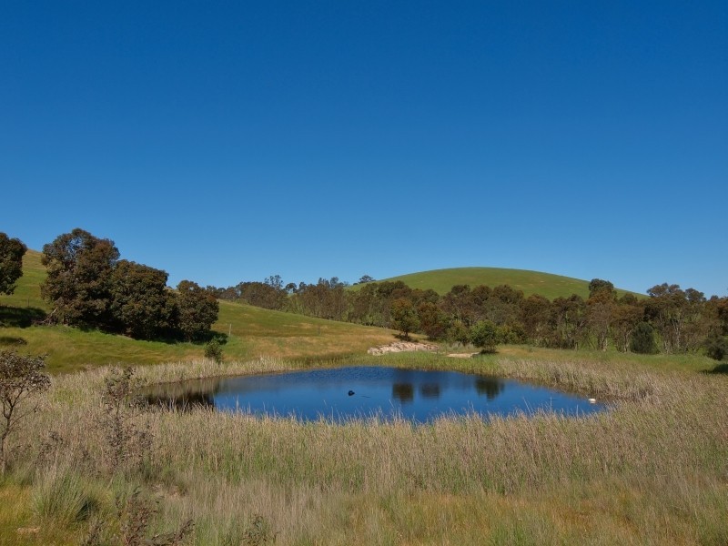 221 Gladigau Road, Mount Torrens SA 5244