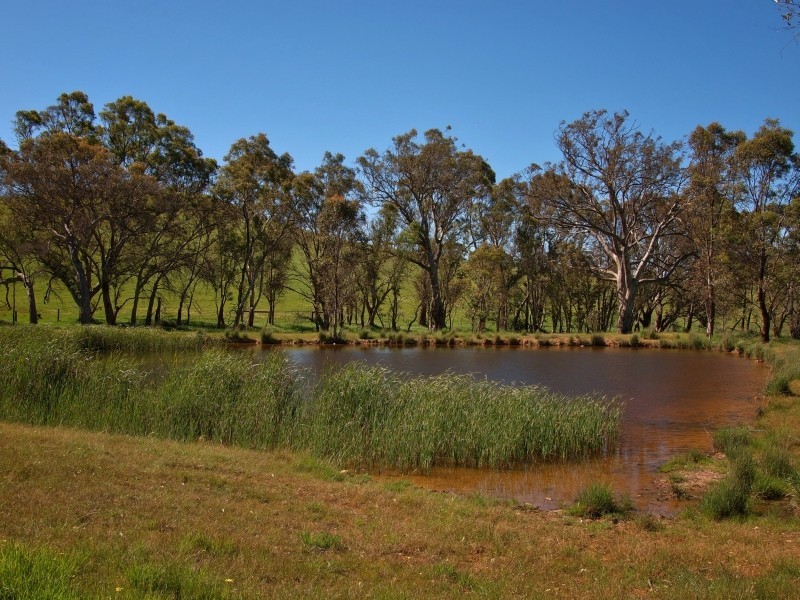 221 Gladigau Road, Mount Torrens SA 5244