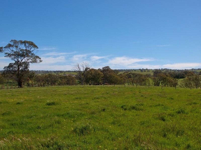 221 Gladigau Road, Mount Torrens SA 5244