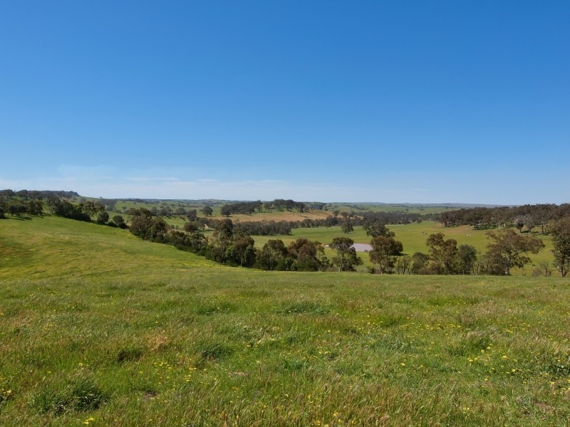 221 Gladigau Road, Mount Torrens SA 5244