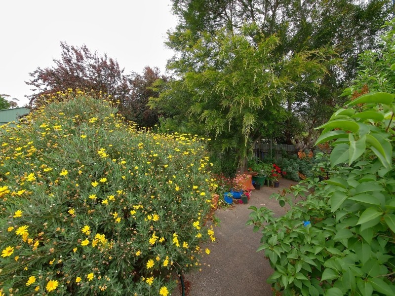 48 Auricht Road, Hahndorf SA 5245