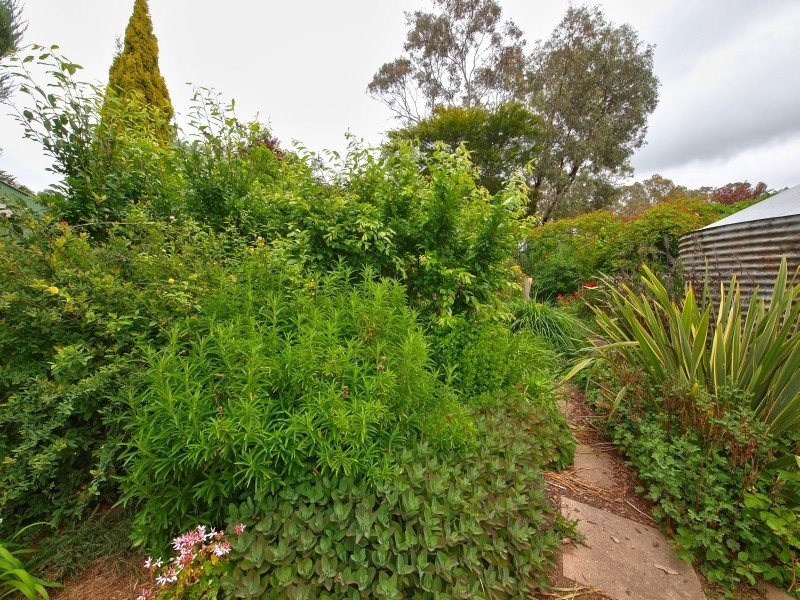 48 Auricht Road, Hahndorf SA 5245