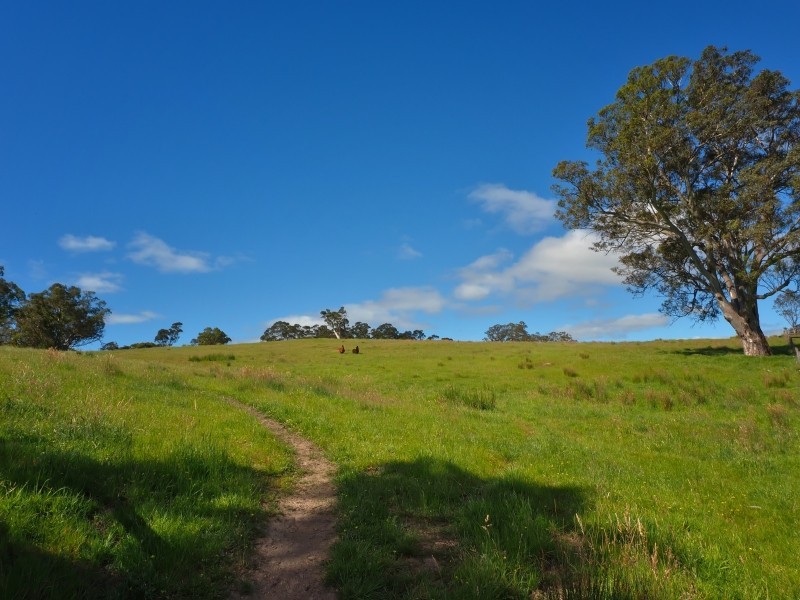 90 Clisby Road, Oakbank SA 5243