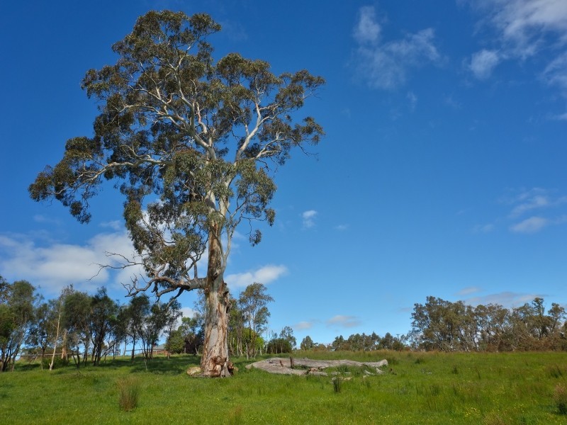 90 Clisby Road, Oakbank SA 5243