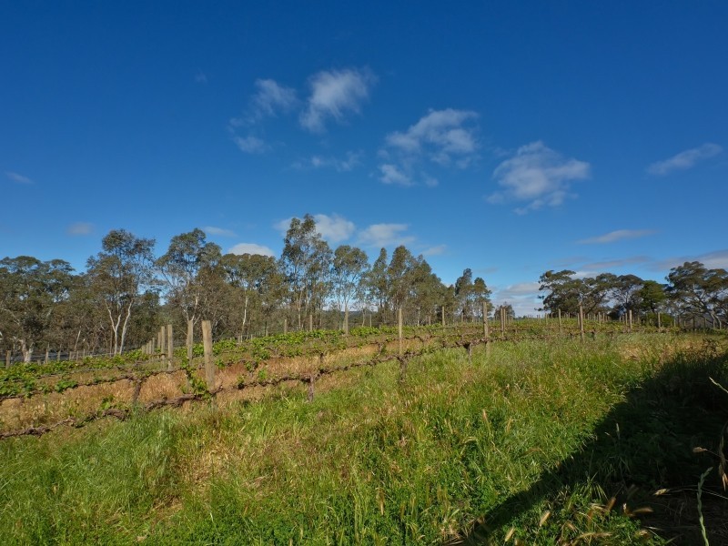 90 Clisby Road, Oakbank SA 5243